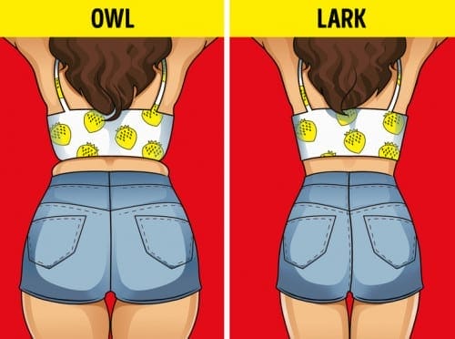 13 most effective weight loss tips are now popular 13 most effective weight loss tips are now popular