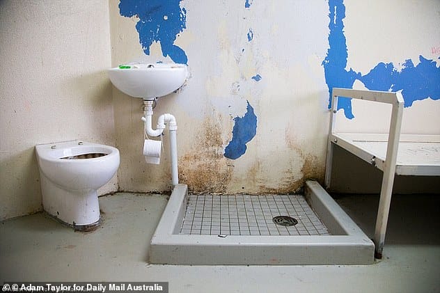 Pictured: A cell at Silverwater remand prison in NSW, where Daisley is being held in remand